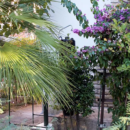 Apartments With Parking Space Sabunike, Zadar - 5745